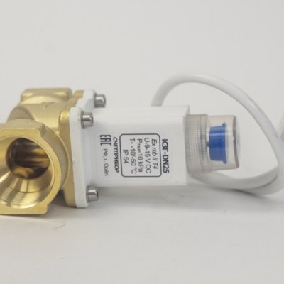 1Gas check valve KZG 